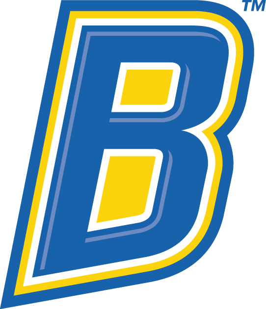 CSU Bakersfield Roadrunners 2006-Pres Alternate Logo v4 diy iron on heat transfer